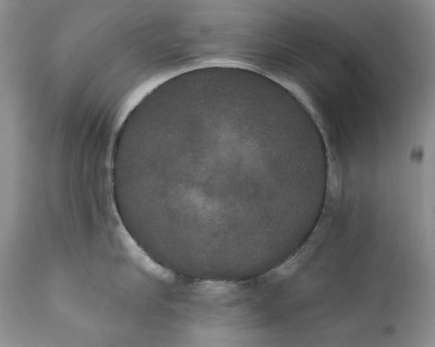 X0000111440910200907271126