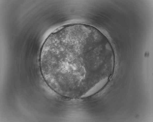 X0000111440912200907271126