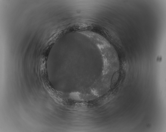 X0000111440914200907271126