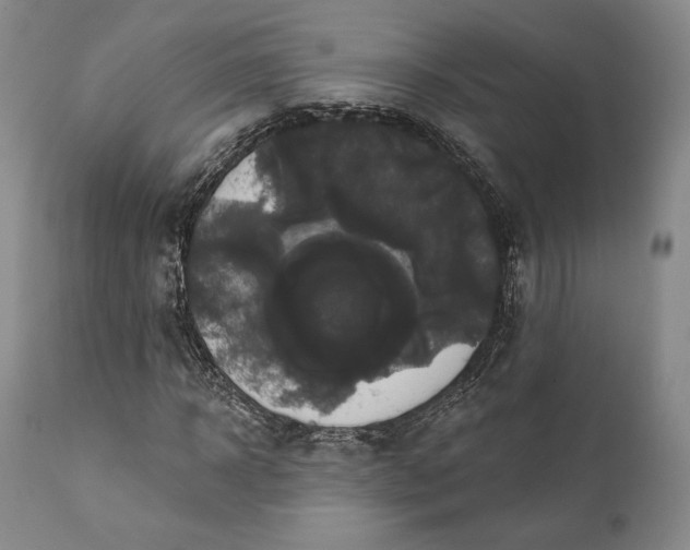 X0000111440918200907271126