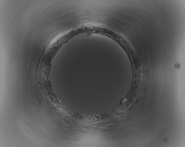 X0000111440919200907271126