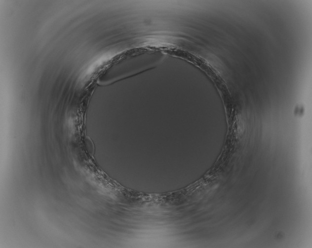 X0000111440920200907271126