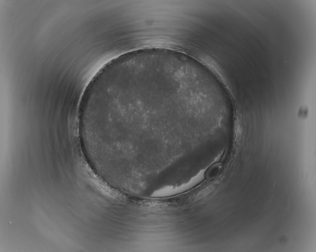 X0000111440924200907271126