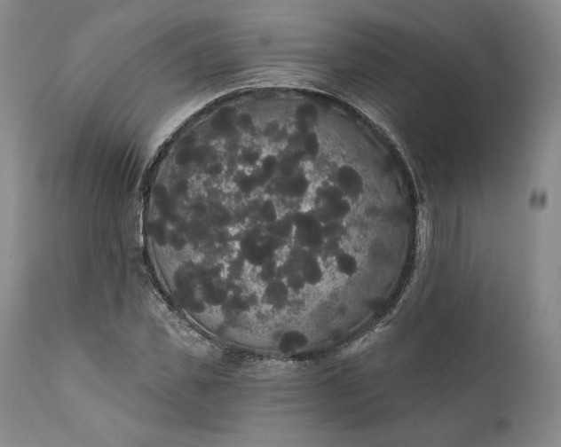 X0000111440925200907271126