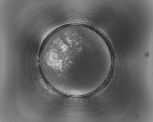 X0000111440928200907271126