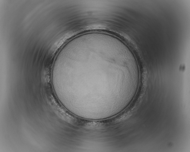 X0000111440929200907271126