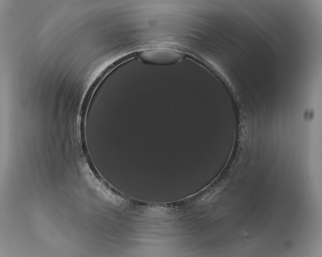 X0000111440932200907271126