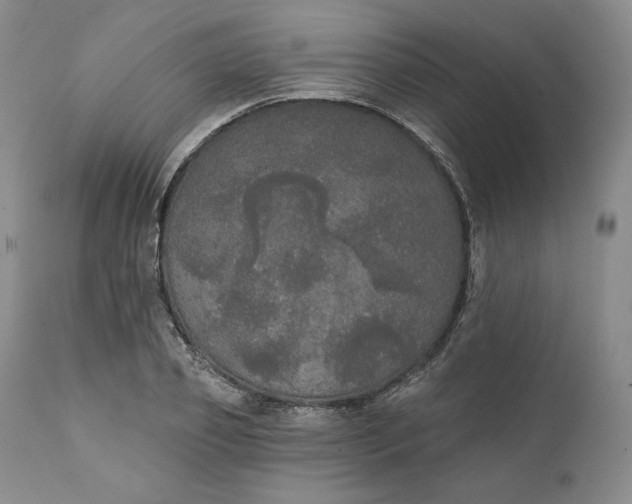 X0000111440933200907271126