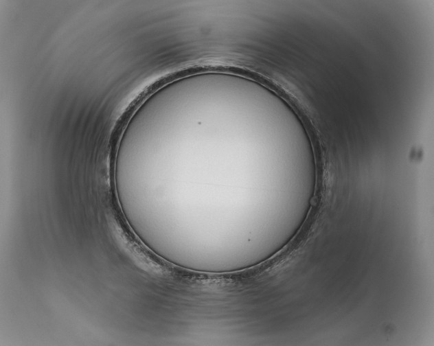 X0000111440934200907271126