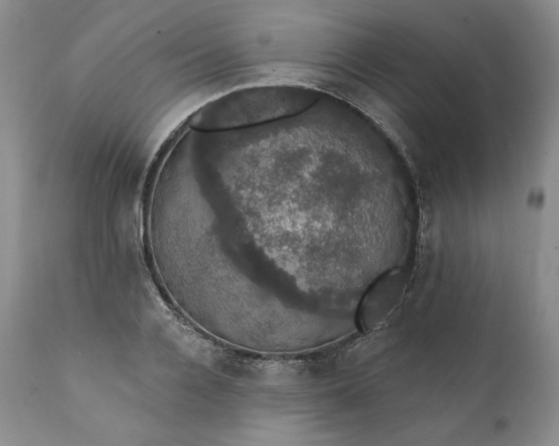 X0000111440936200907271126