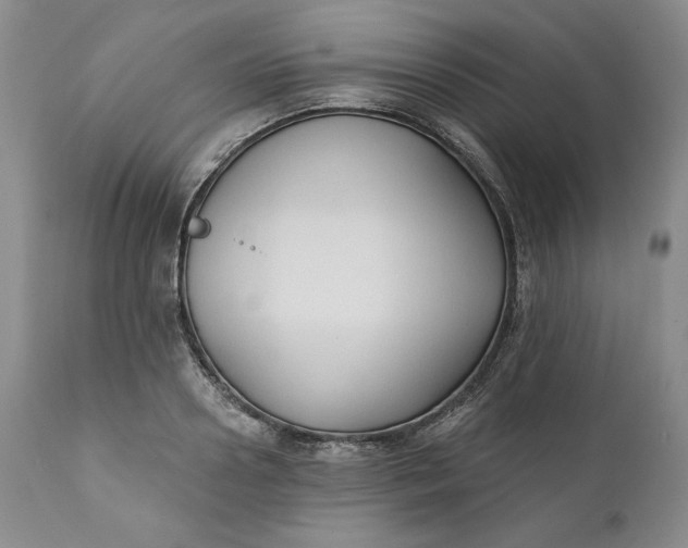 X0000111440938200907271126