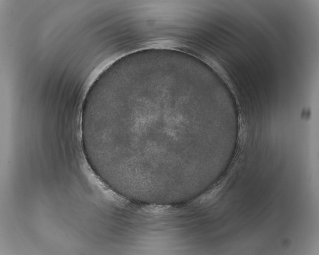 X0000111440939200907271126