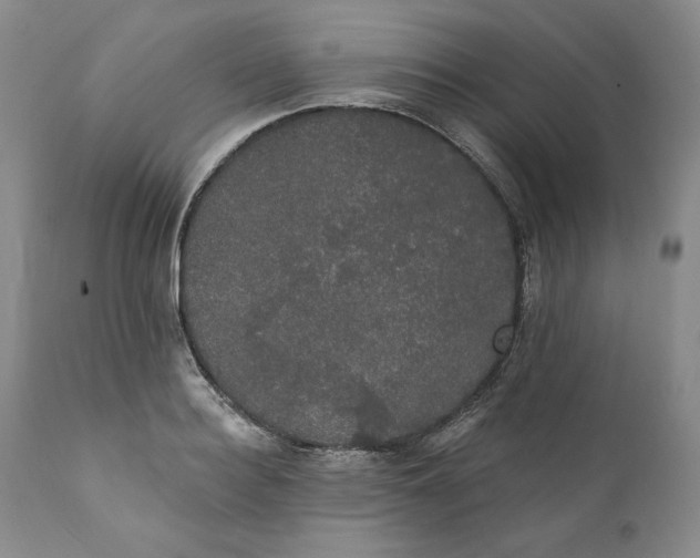 X0000111440940200907271126