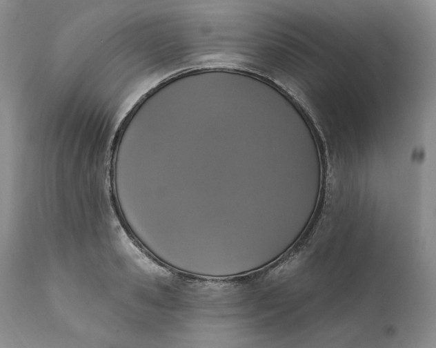 X0000111440941200907271126