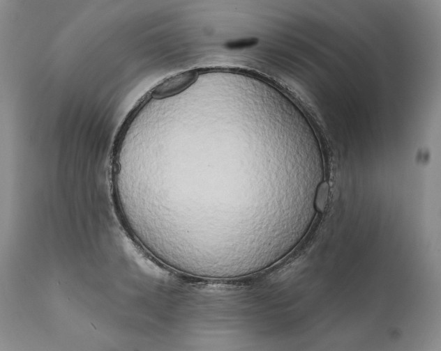 X0000111440942200907271126