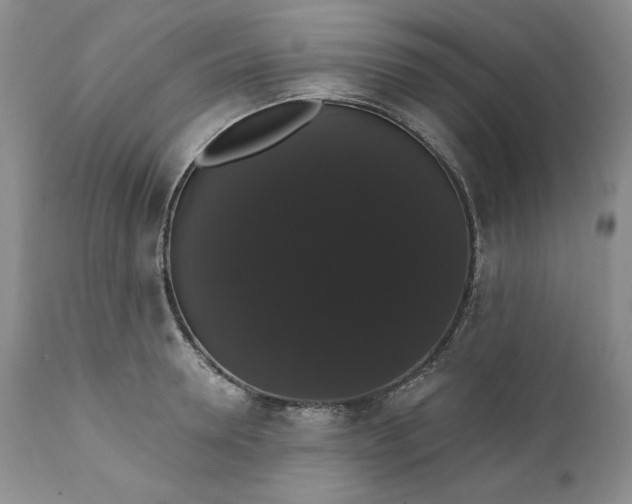 X0000111440946200907271126