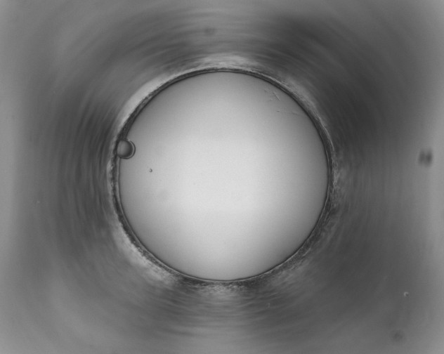 X0000111440947200907271126