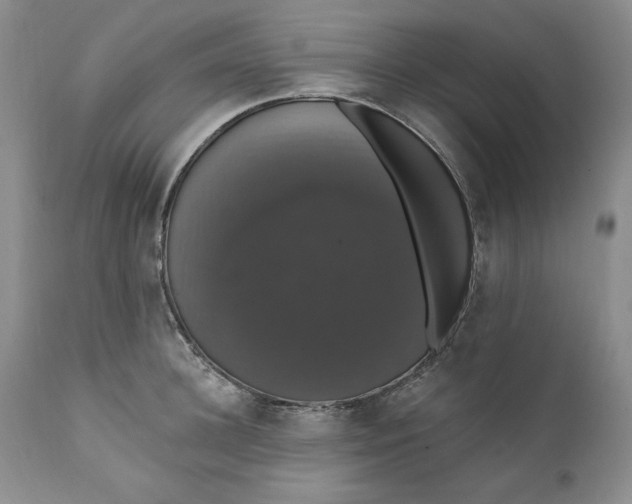 X0000111440948200907271126