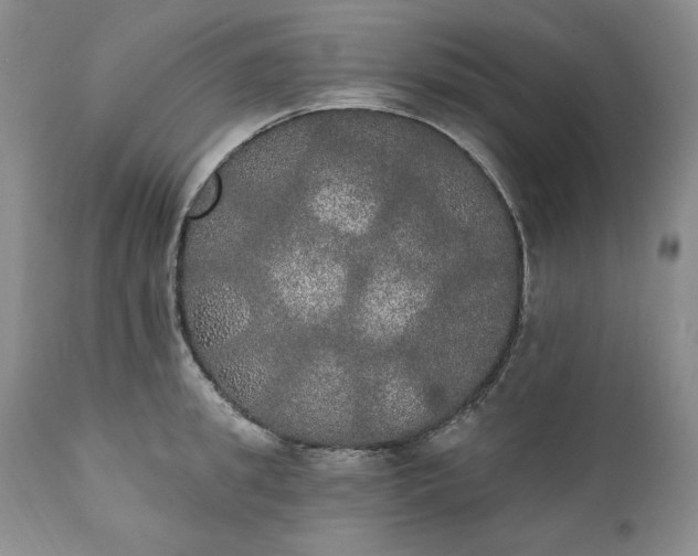 X0000111440949200907271126