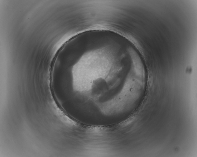 X0000111440950200907271126