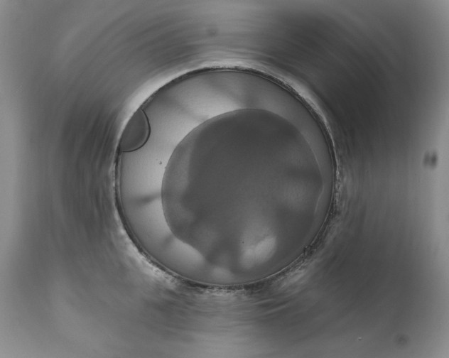 X0000111440951200907271126