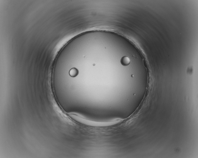 X0000111440952200907271126