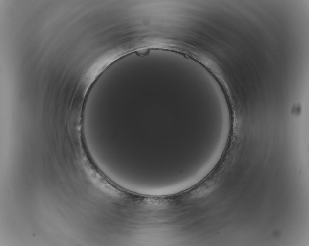 X0000111440954200907271126