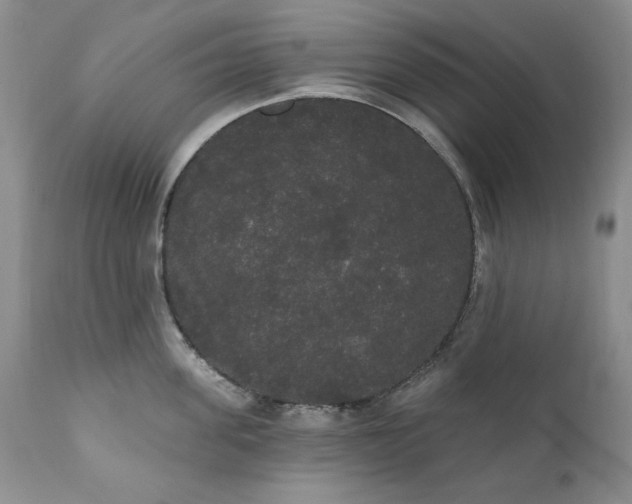 X0000111440955200907271126