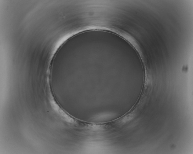 X0000111440958200907271126