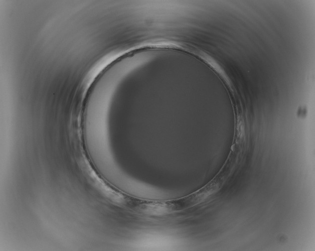 X0000111440959200907271126