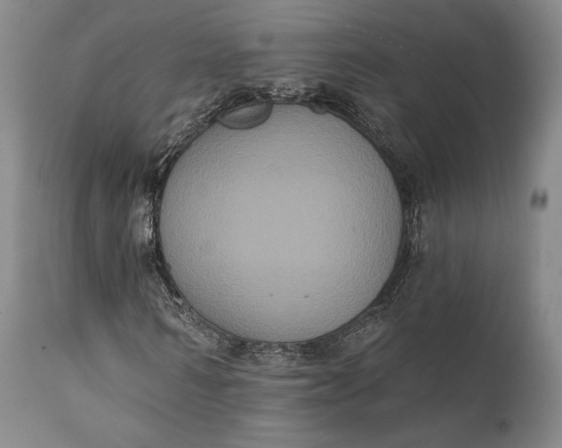 X0000111440962200907271126