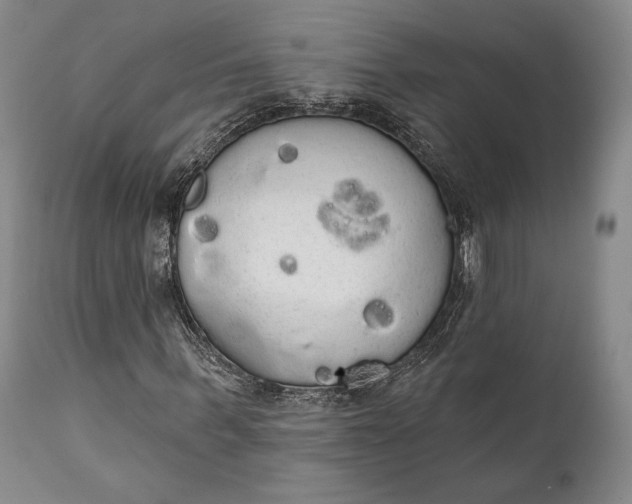 X0000111440963200907271125