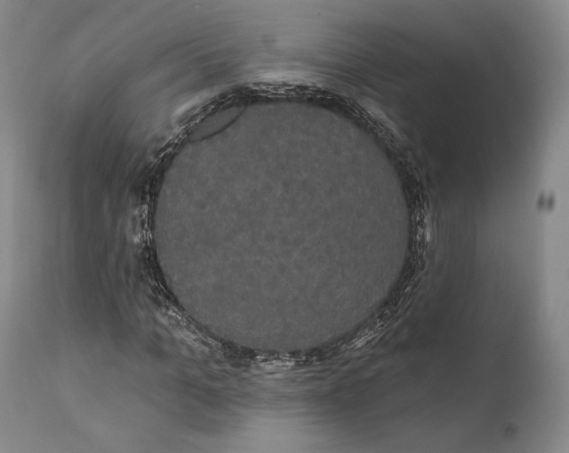 X0000111440965200907271125