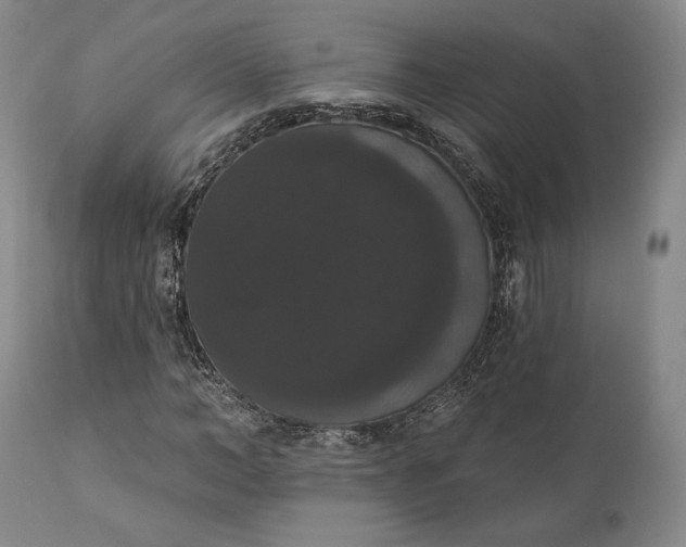 X0000111440966200907271125