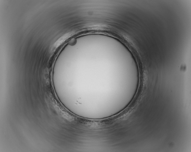 X0000111440970200907271125