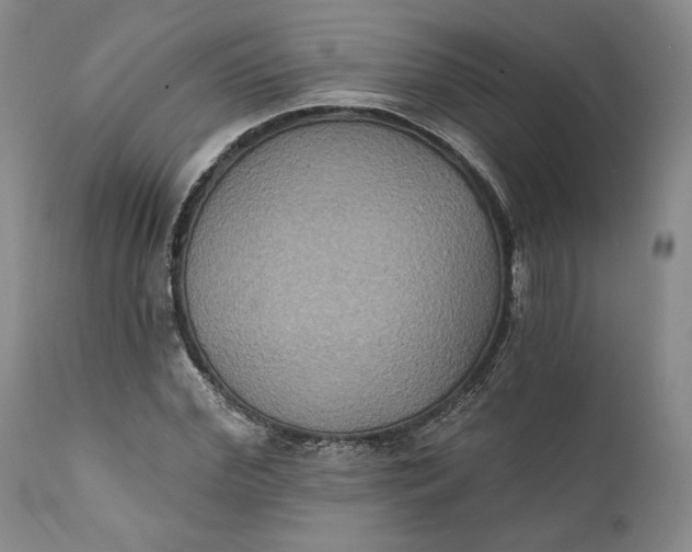 X0000111440972200907271125