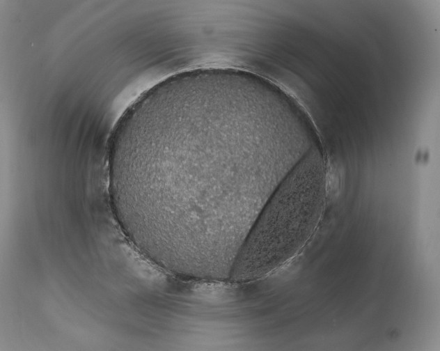 X0000111440973200907271125