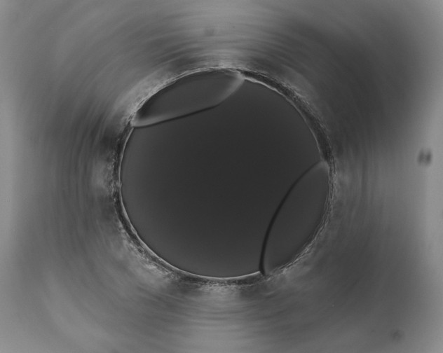 X0000111440977200907271125