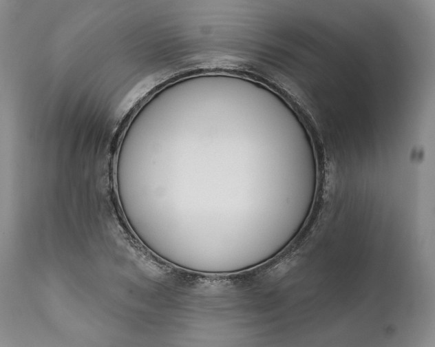 X0000111440978200907271125