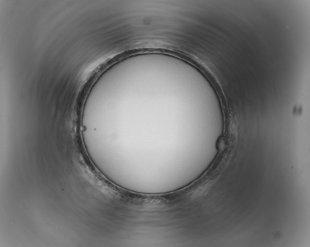 X0000111440979200907271125