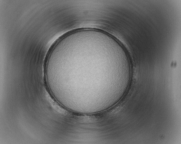 X0000111440980200907271125