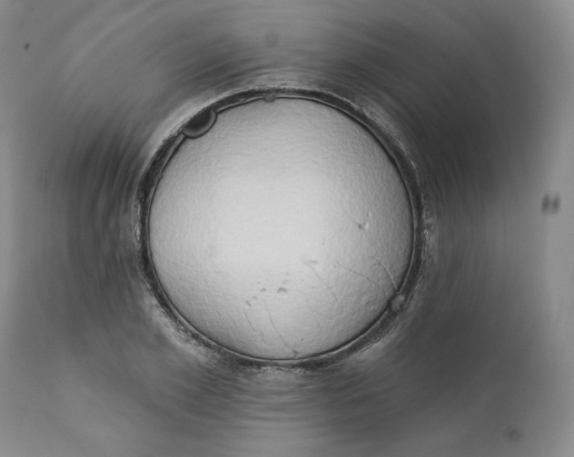 X0000111440981200907271125