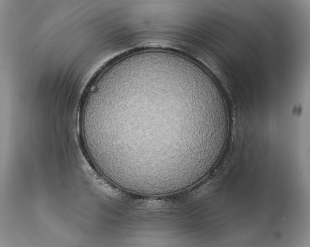 X0000111440984200907271125