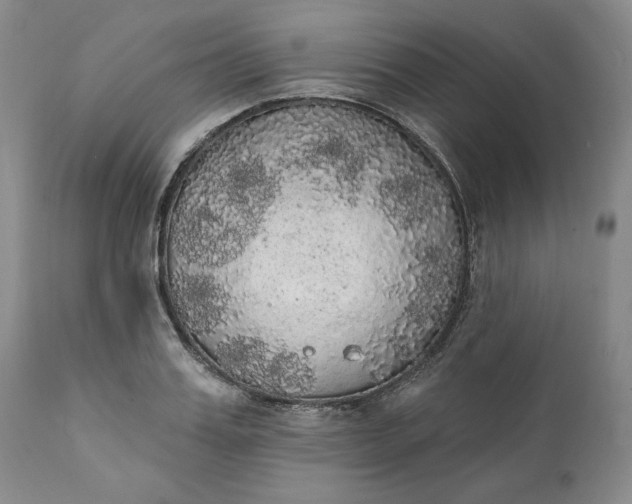 X0000111440987200907271125