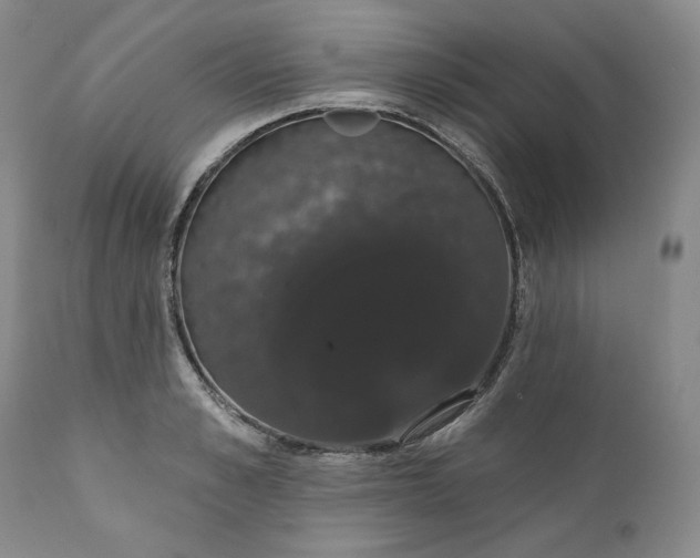 X0000111440989200907271125