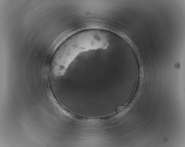 X0000111440993200907271125