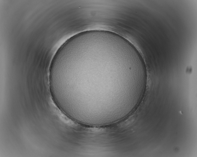 X0000111440996200907271125