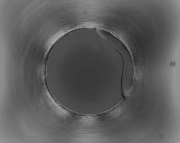 X0000111440997200907271125