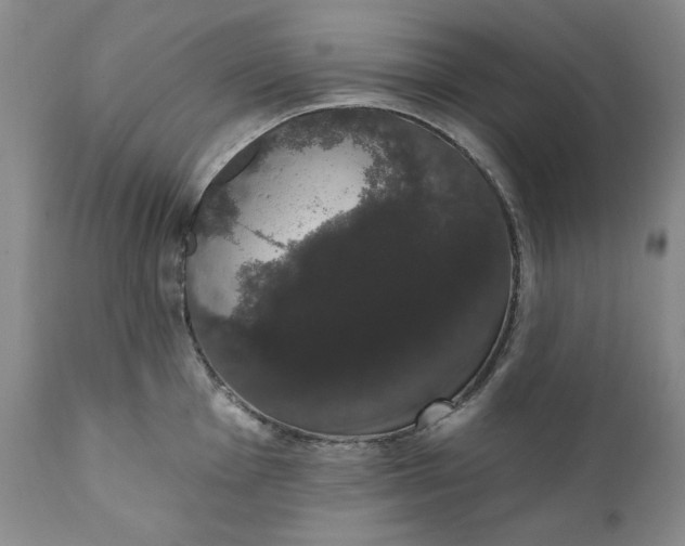 X0000111441001200907271125