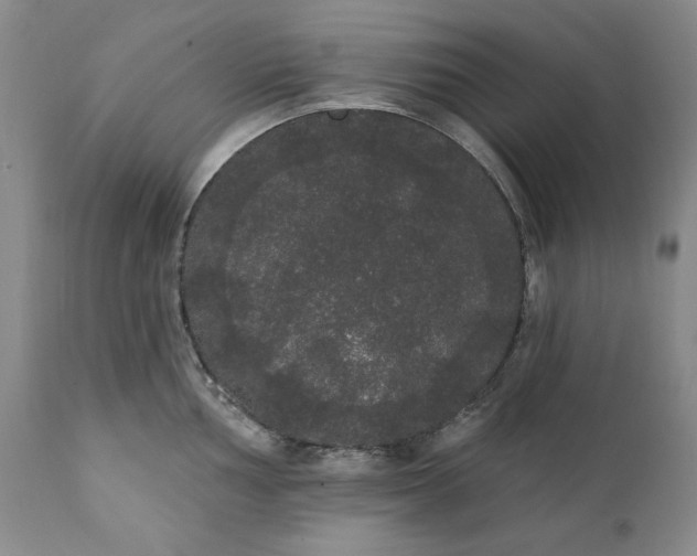 X0000111441002200907271125